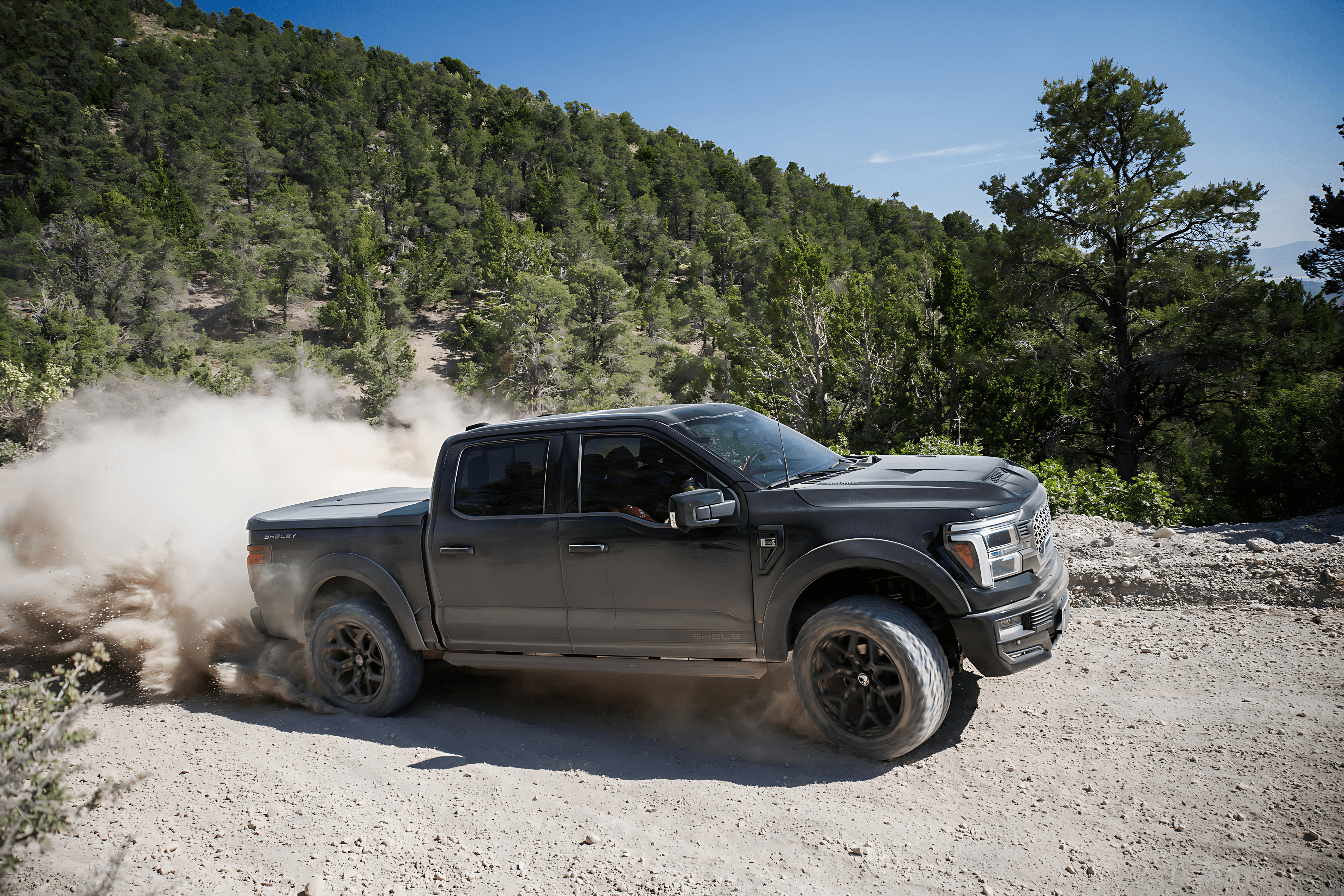 Python X/T background